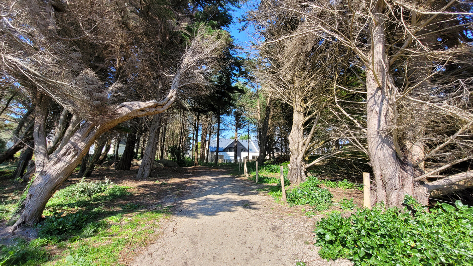 A vendre � Concarneau Finist�re Sud, appartement dans r�sidence au coeur d'une pin�de, les pieds dans l'eau